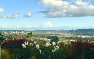 FINDING JOY IN THE MIDST OF DESPAIR….
