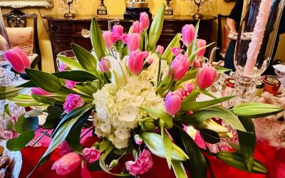 FINDING JOY IN FEBRUARY