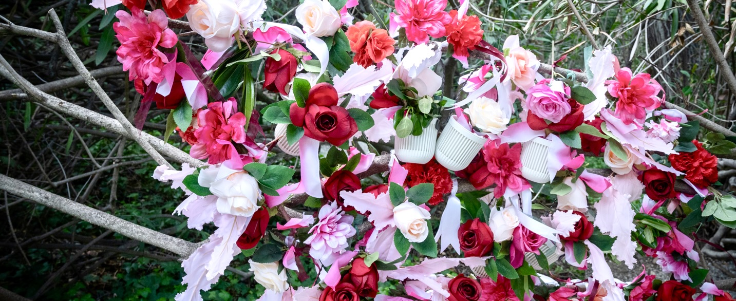 THE LOVELIEST DAY EVER! - Live Joyfully with Nan Rae