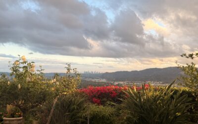 ANOTHER BIRTHDAY AND SO MUCH MORE