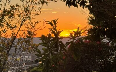 JANUARY, AND THE NEW YEAR BEGINS…